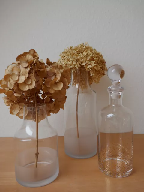 Depot Vase Set transparent Gefäß Glas matt Milchglas Flasche gold Dekanter Punkt