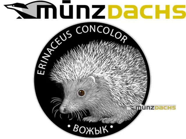 20 Ruble 2011 Belarus Hedgehog Part 1 1 oz fine Silver Proof Sold out