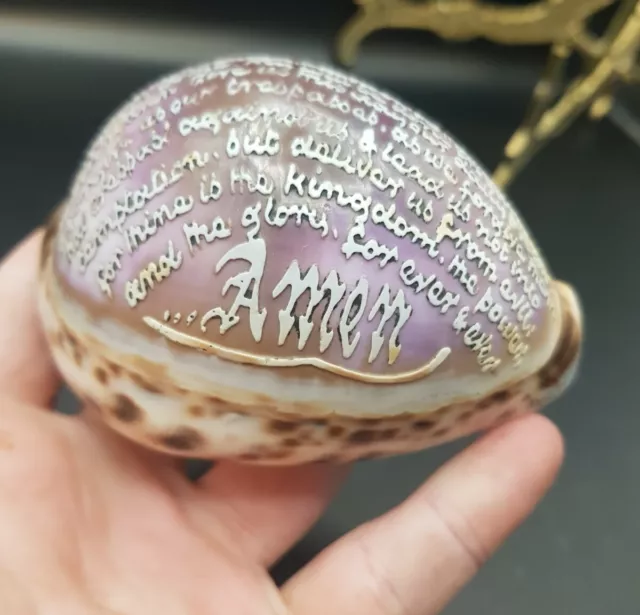 Vintage Tiger Cowrie Sea Shell Paperweight - Lords Prayer Inscribed