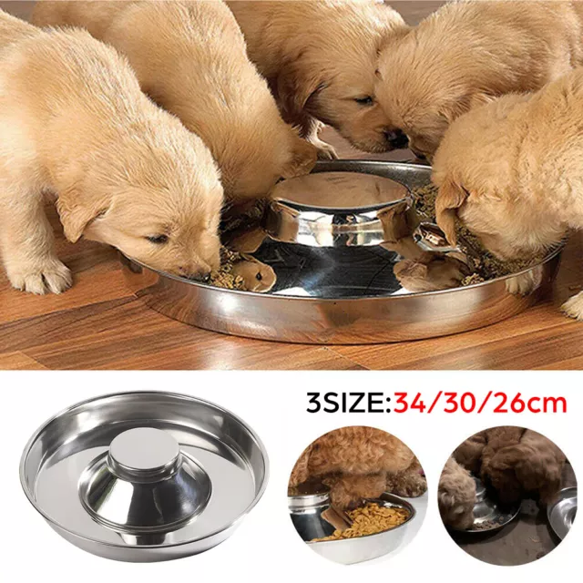 Feeder Bowl Stainless Dish Puppy Dog Pet Cat Litter Food Feeding Weaning Home AU