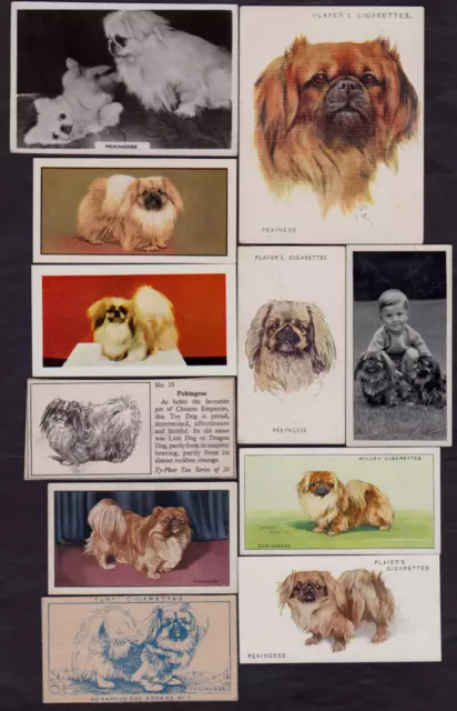 11 Different Vintage PEKINGESE Tobacco/Cigarette/Tea Dog Cards Lot