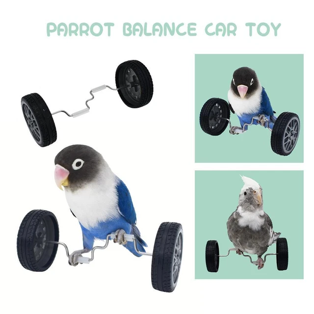 PARROT BALANCE TOY Puzzle Toy Bird Bicycle Toys for Budgie Finches