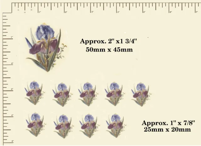 10 Waterslide ceramic decals IRIS Flowers Purple Floral Decoupage. A67