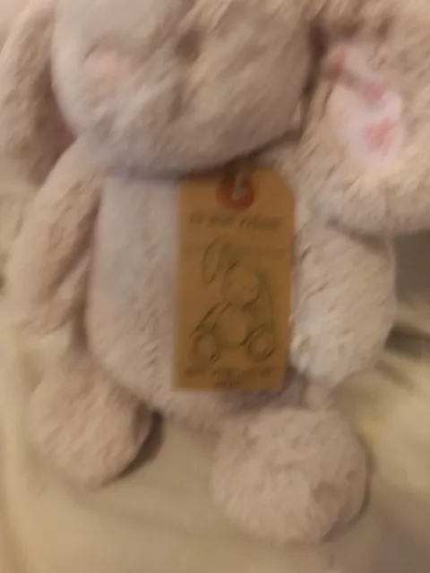 NEXT My Best Friend bunny soft toy plush beige floral pink ears Bnwt 3