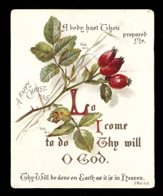 K09 - Victorian Religious Scripture Psalms Motto Christmas Card - Rose Hips