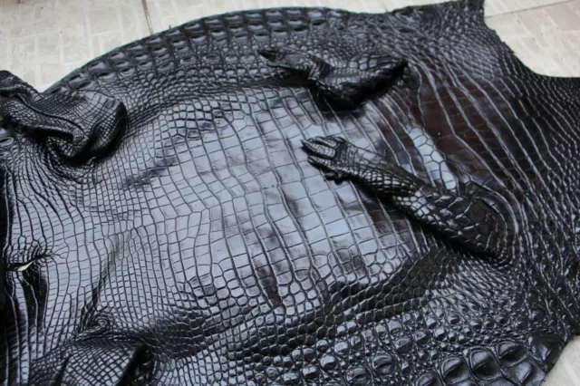 Long 47" Genuine Real Alligator Crocodile Skin Leather Exotic Pelt taxidermy