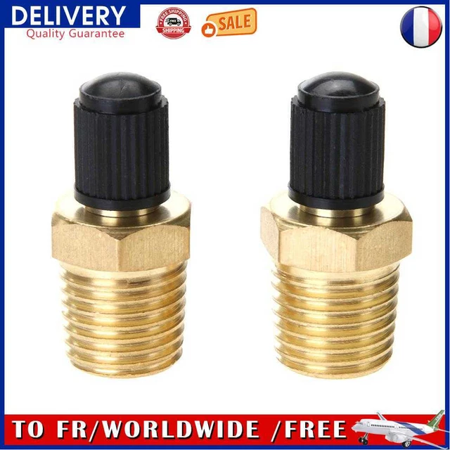 Pour Dunlop Valve 2pcs laiton pneu pneumatique Air compresseur réservoir robinet