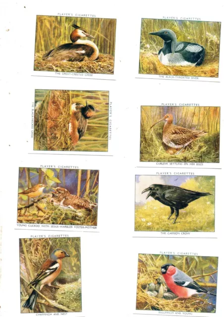 Players Wild Birds Full New Sealed Set Of L25 Cards Reproduction Cards