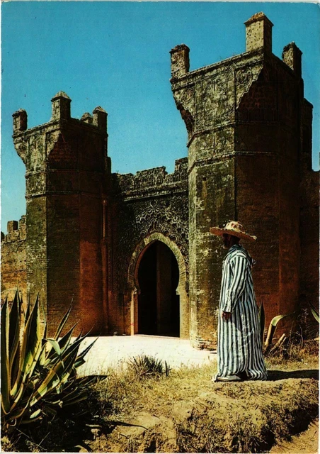 CPM AK MOROCCO - RABAT-Le Chellah (328955)