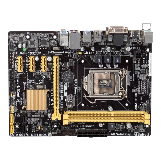 Asus H81M-P Plus - Placa base Intel 1150