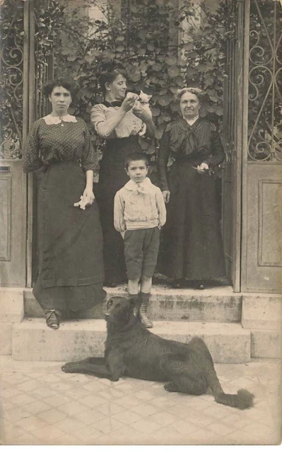 95 Argenteuil #As29753 Famille Chat Et Chien Carte Photo