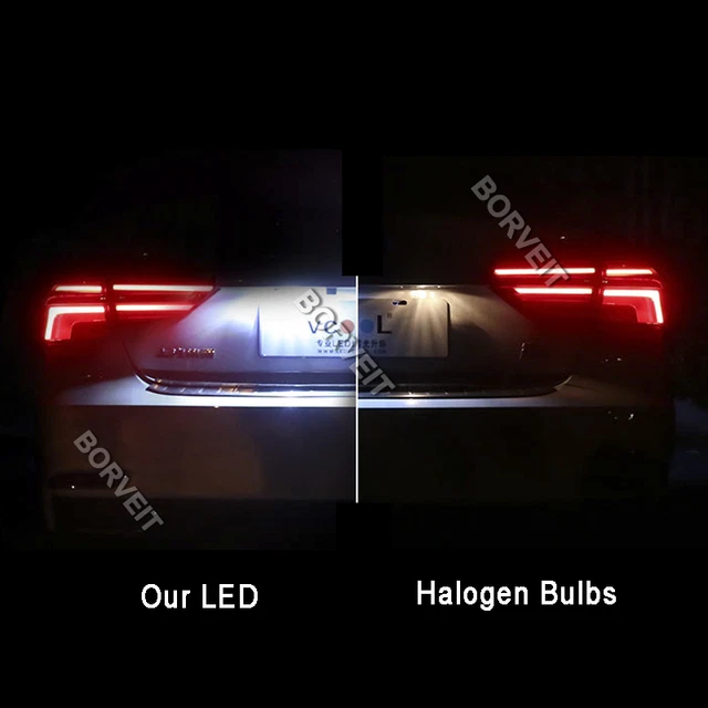 BRIGHT WHITELED NUMBER Plate Globes for Holden Commodore VS VT VX VY VZ