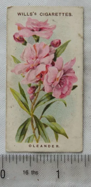 1913 Wills Old English Garden Flowers 2nd series No. 7 Oleander