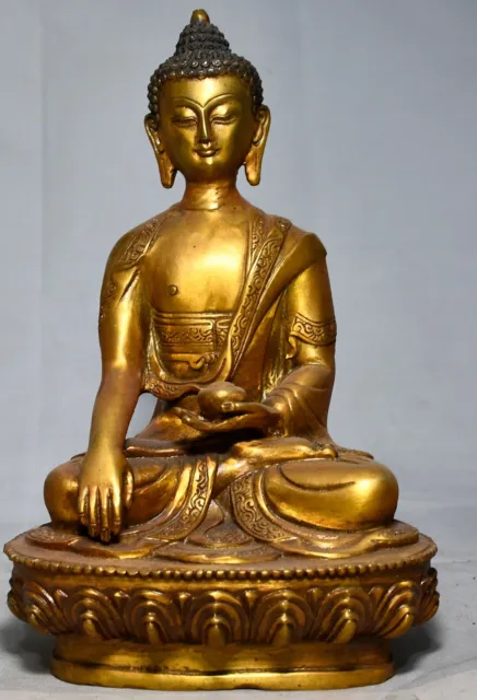 8" China old Tibet Tibetan Buddhism temple Bronze gilt Shakyamuni Buddha statue