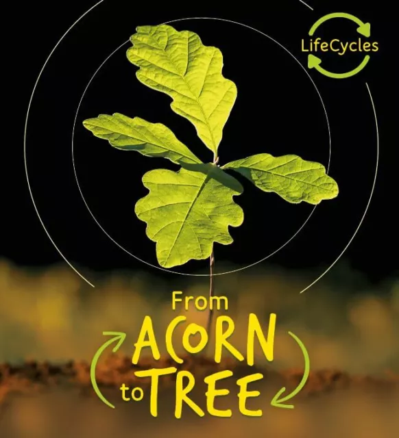 Lifecycles - Acorn to Tree, de la Bedoyere, Camilla