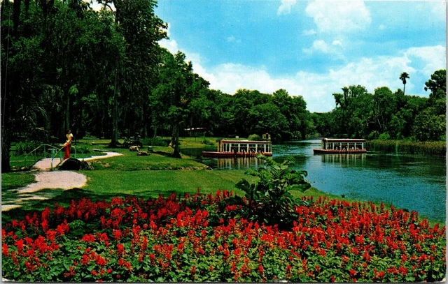 View Glass Bottom Boats Silver River Florida Springs FL Postcard VTG UNP Koppel