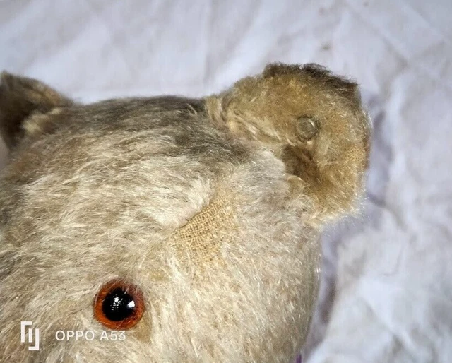 ours steiff ancien prix