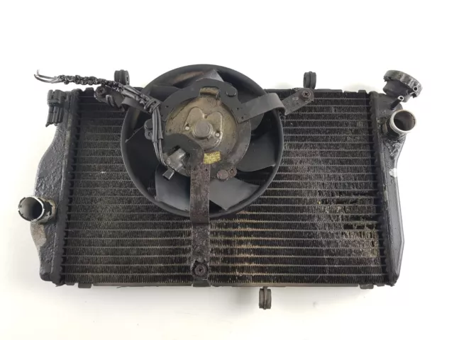 Radiador / Ventilador Honda CBR 1100 Xx SC35C 2002