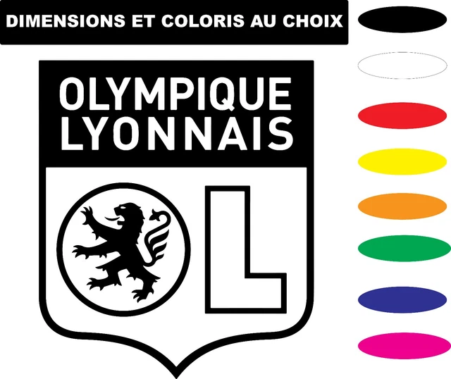 Fanion OL Lyon olympique lyonnais ahou ahou foot football pennant