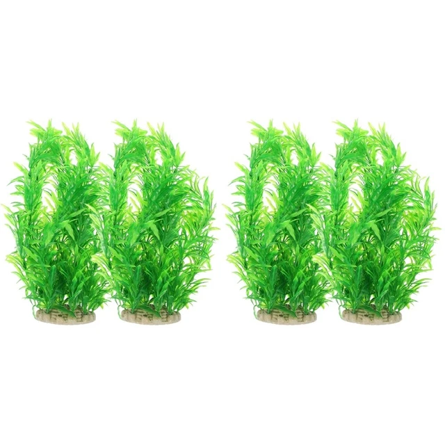 AchidistviQ 100 Pièces Aquarium Fish Tank Herbe Plantes Graines, Lenticule Facile à Planter Feuille Tapis Eau Herbe Plantes Flottantes Des graines
