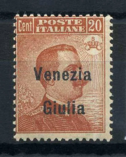 Venezia Giulia 1918 Sass. 23 MNH 100% 20 c, Overprinted