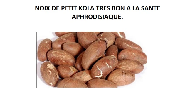 NOIX DE PETIT Cola / Kola / Garcinia Kola Très Fraîche ( 100G ) EUR 18,00 - FR