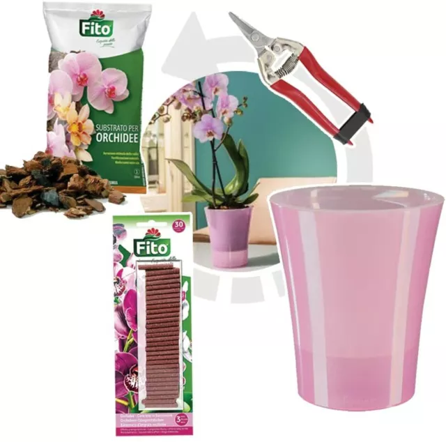 Kit per Rinvasare Le Orchidee Kalapanta: Vaso Trasparente con Fori  drenaggio, Sottovaso e Terriccio specifico per Orchidee