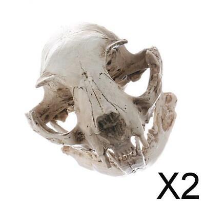 2X Modello realistico di scheletro con teschio di gatto per decorazioni per