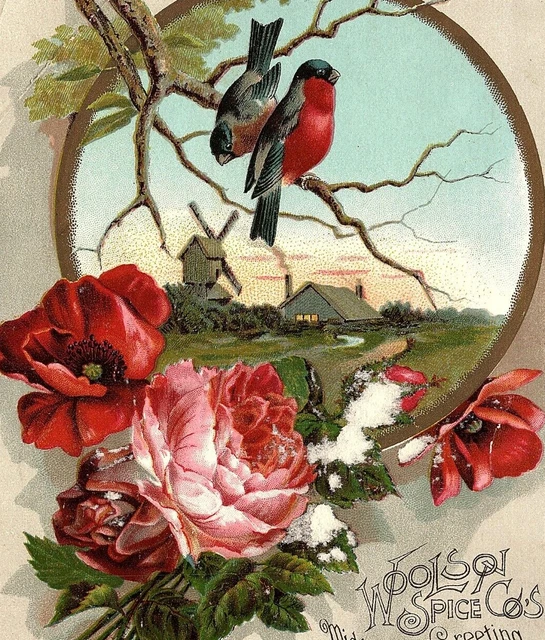 1880s Midsummer Greeting Lion Coffee Woolson Spice Co. Windmill Birds Rose's