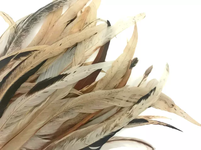 Wholesale Pack - 8-12" Natural Beige Mix Coque Tail Strung Rooster Feathers 2 Oz 3