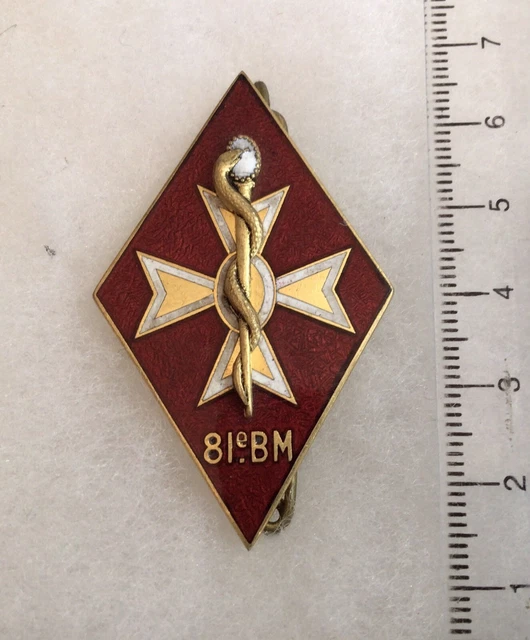 Insigne Original Service De Santé 9e Bataillon Médical Vannes, Badge Militaire