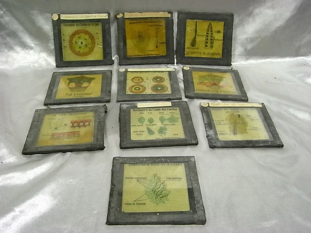 PLAQUE DE VERRE négative. Aviation, Aviateurs, Avion, Pilotes, Mécaniciens EUR 14,00 - FR