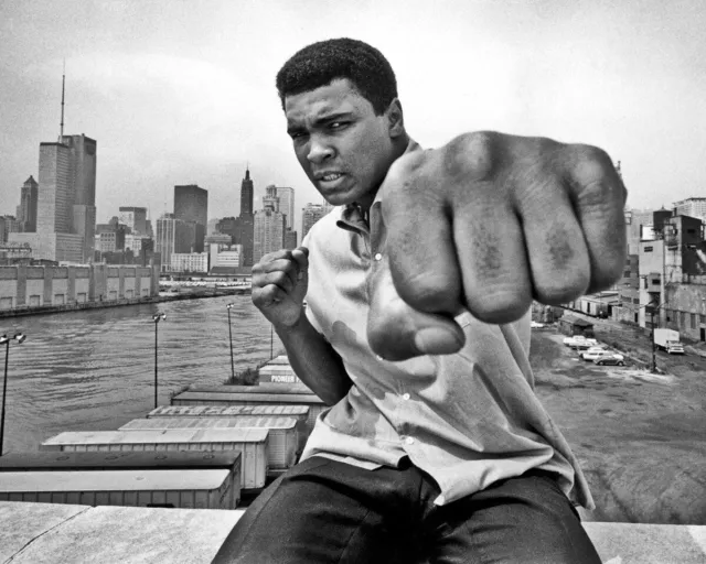 Muhammad Ali Cover Fist Up Black And White 8x10 Picture Celebrity Print