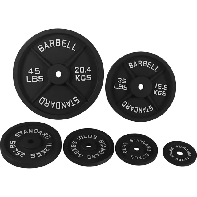 2.5 - 45LB Standart Classic Cast Iron Weight Plates for Strength Training, 1Inch