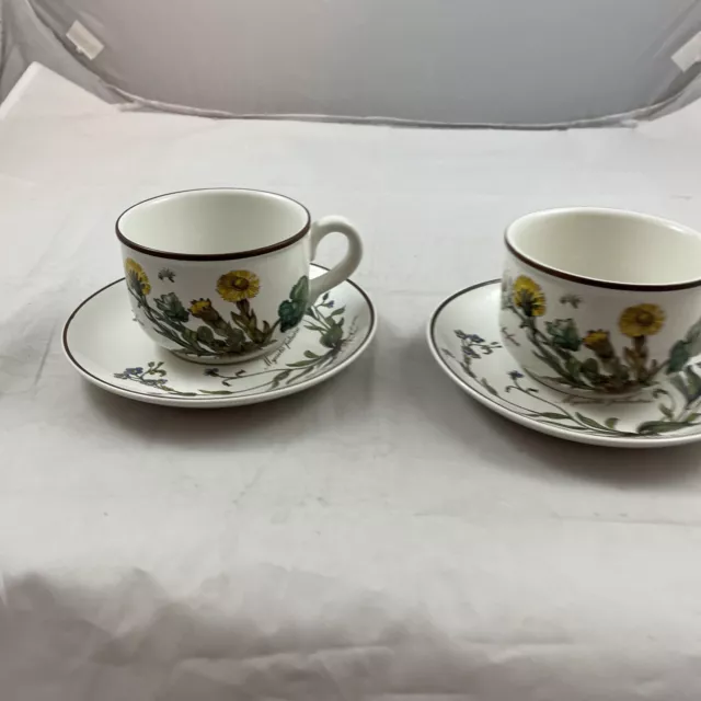 Villeroy & Boch Botanica  Cup & Saucer Set of 2