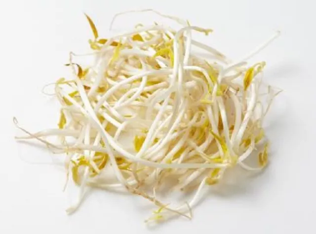 Mung Bean Sprout Seeds Micro Greens Sprouts