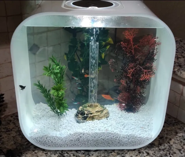 BIORB LIFE AQUARIUM 30 Litre Modern White Acrylic 8 Gallon Aquatic Fish Tank