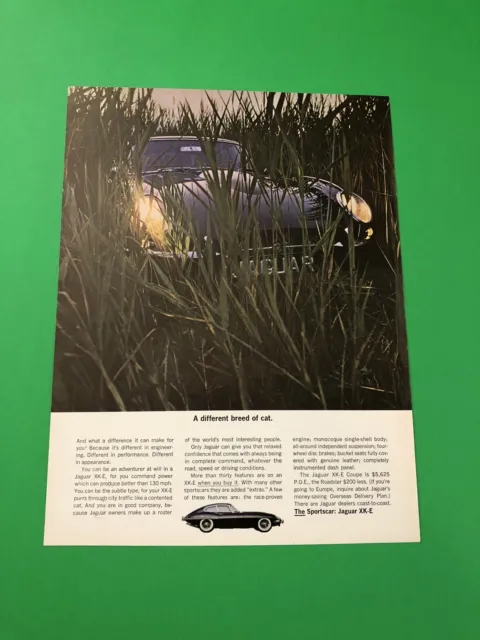 1964 Jaguar Xk-E Xke Original Vintage Print Ad Advertisement Printed