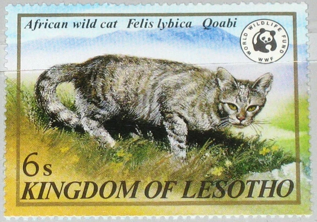 LESOTHO 1981 361 351 WWF African Wild Cat Wildkatze endangered Species ...
