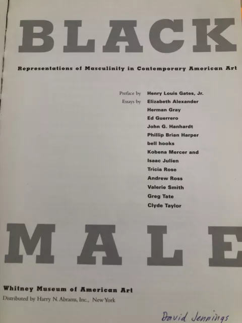 Black Male: Representations of Masculinity in Contemporary American Art,  Rar 3