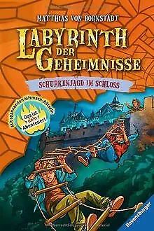 Labyrinth der Geheimnisse 5: Schurkenjagd im Schlos... | Buch | Zustand sehr gut