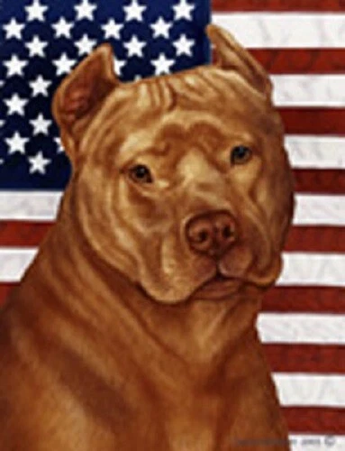 Patriotic (D2) House Flag - Orange American Pit Bull Terrier 32406