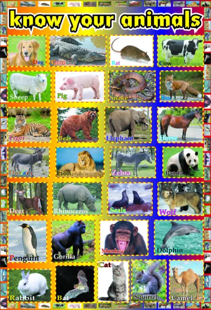 ANIMALS A2 laminated educational kids toddler wildlife wall chart print Poster