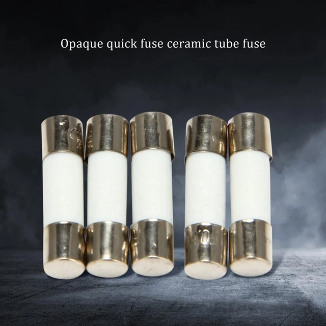 10Pcs 250V 0.5 a 500mA rupture Tubes des fusibles ceramique 5 x 20 mm G3X6X6 2