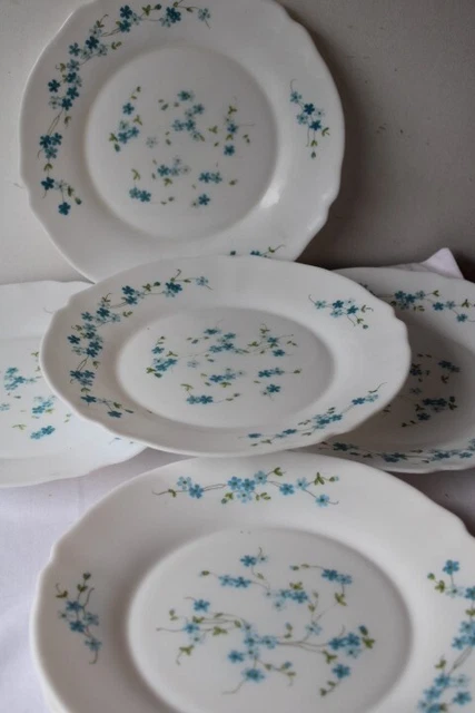 6 ASSIETTE CREUSE-VINTAGE-MYOSOTIS VERONICA
