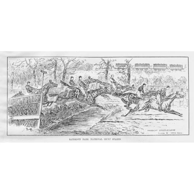 HORSE RACING National Hunt Stakes at Sandown Park - Antique Print 1893