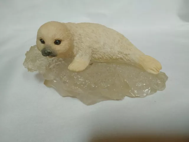 Westland White Seal Laying On Acrylic Slab Of Ice #901