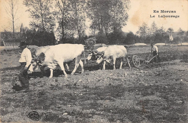 Cpa 58 En Morvan Le Labourage