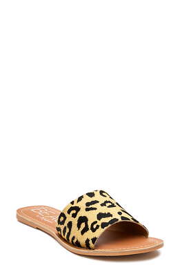 matisse cabana slide