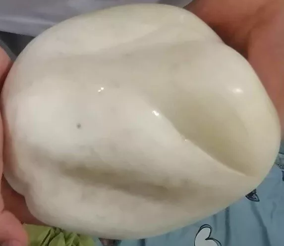 Tridacna gigas pearl deals